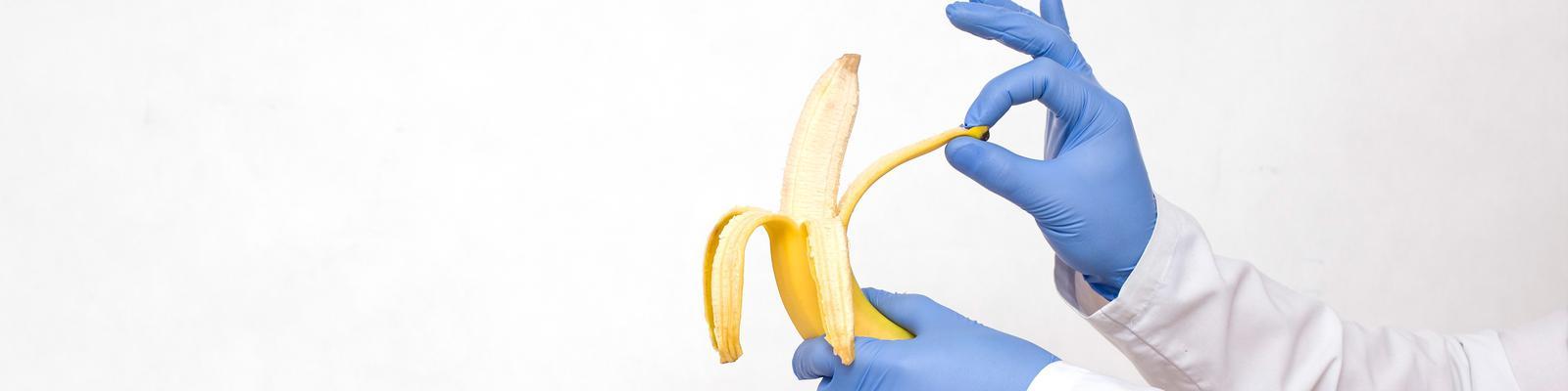 circumcision